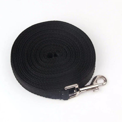Premium nylon dog leashes in a range of sizes, perfect for casual walks and outdoor adventures with your furry friend in the UK