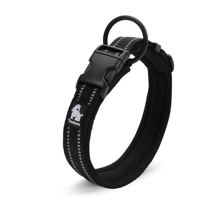 Adjustable nylon dog collar with reflective stripes, available in various vibrant colours for UK pet owners