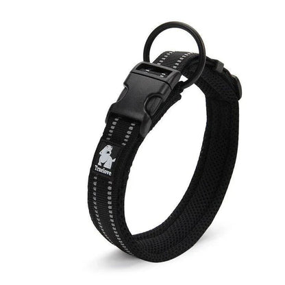 Adjustable nylon dog collar with reflective stripes, available in various vibrant colours for UK pet owners