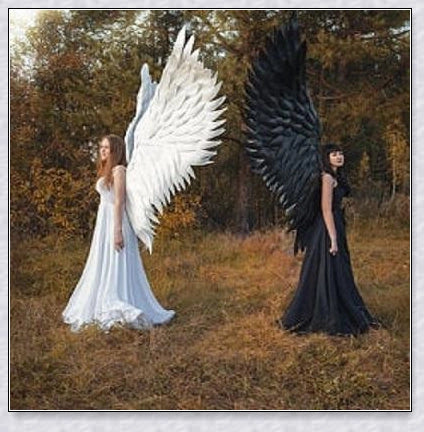 Captivating 3D Angel & Devil Wings in angelic white and devilish black colours, perfect for Halloween, masquerade, and costume parties