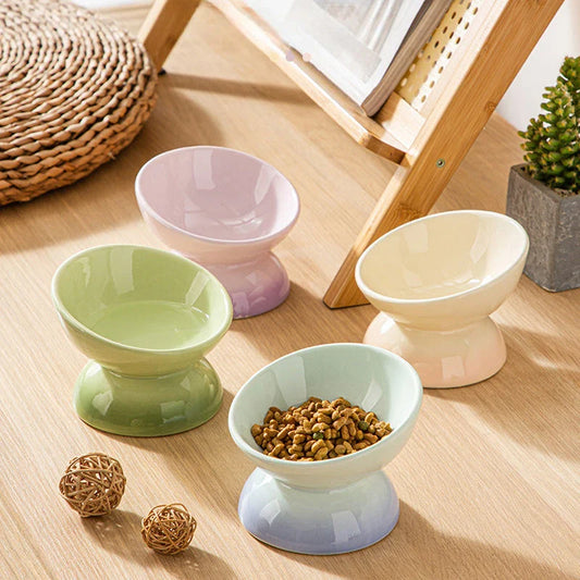 Gradient Ceramic Cat Bowl with raised and tilted design for comfortable pet dining