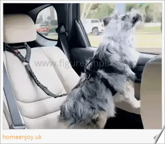 Durable dog safety harness and car seat belt set in 3 colours and 4 sizes for optimal comfort and fit