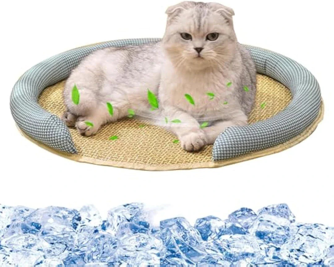 Cooling Rattan Pet Bed with Breathable Cushion for Cats - Stylish and Comfortable Design