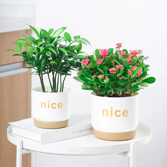 Elegant self-watering planters in various sizes, perfect for indoor plants and home or office decor