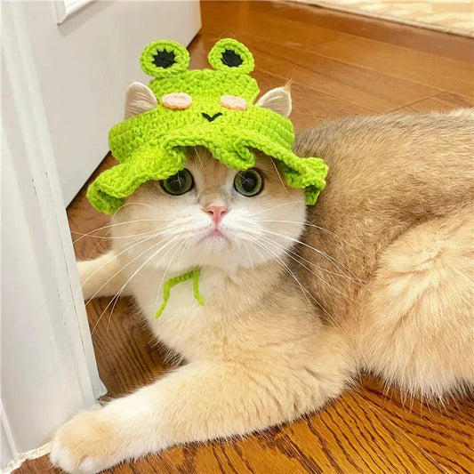 Adorable knitted party hat for cats and small dogs in a frog design