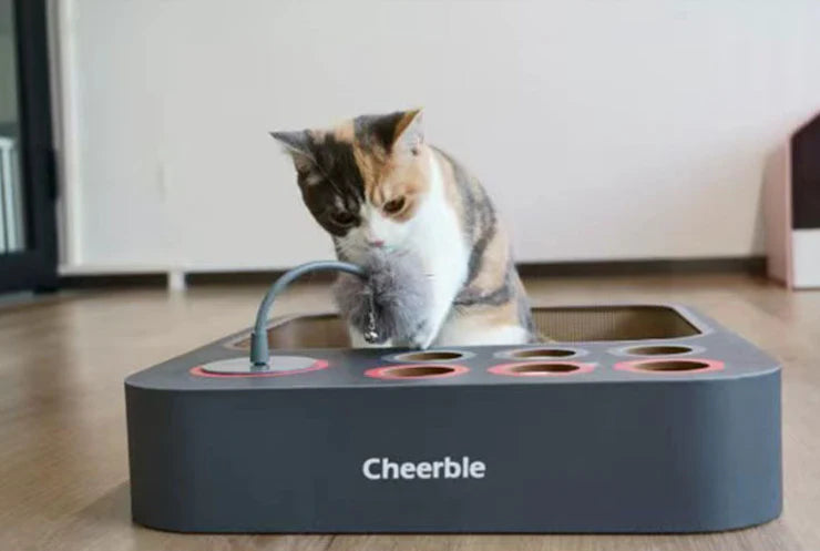 Premium Formaldehyde-free Cat Scratching Board Nest Toy in Dark Grey Colour