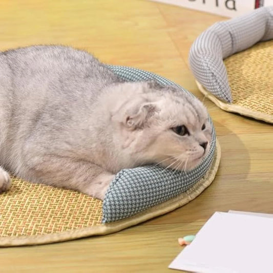 Cooling Rattan Pet Bed with Breathable Cushion for Cats - Stylish and Comfortable Design