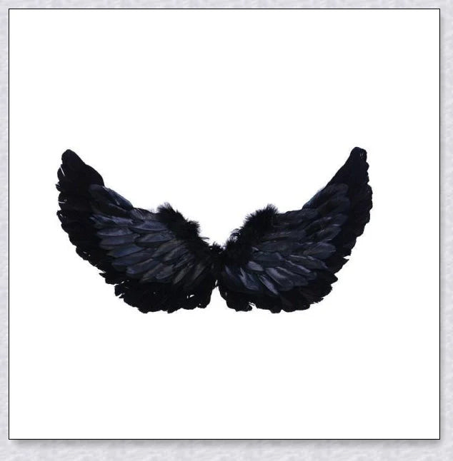 Captivating 3D Angel & Devil Wings in angelic white and devilish black colours, perfect for Halloween, masquerade, and costume parties