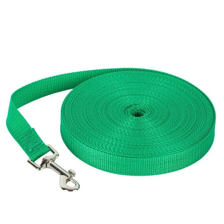 Premium nylon dog leashes in a range of sizes, perfect for casual walks and outdoor adventures with your furry friend in the UK