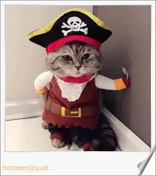 Charming pirate costume for cats and dogs made of soft, breathable polyester and non-woven fabrics