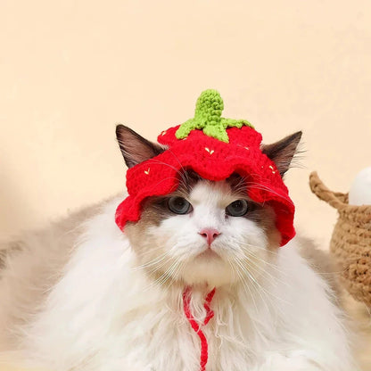 Adorable knitted party hat for cats and small dogs in a frog design