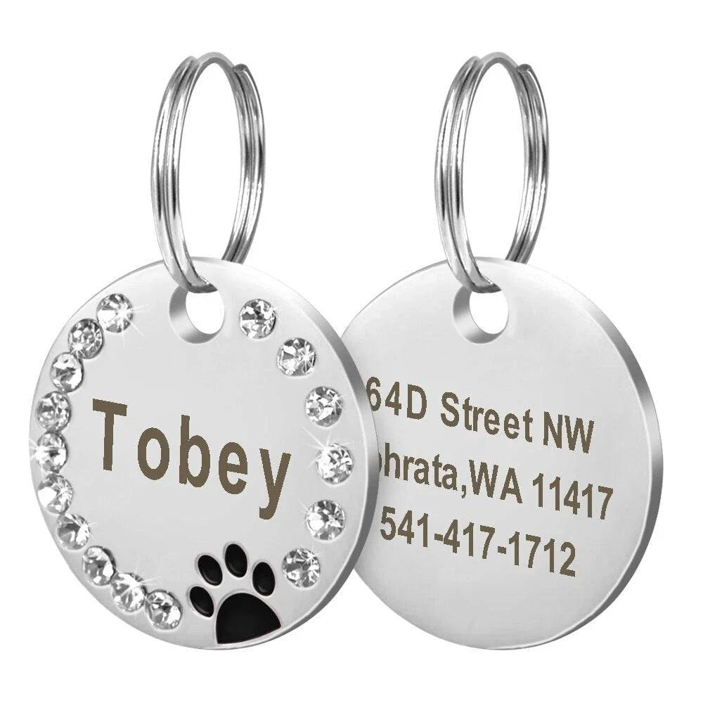 Customisable stainless steel pet ID tags in various colours, designed for identifying and protecting your beloved companion