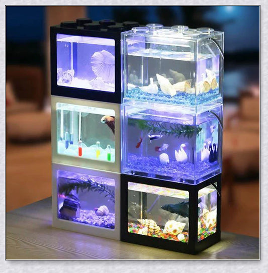 Charming modular mini aquarium with stacked cubes and colourful LED lighting for freshwater fish