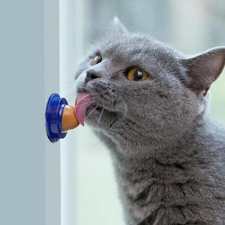 Premium cat treat with salmon flavour and natural ingredients for your feline friend's enjoyment and well-being