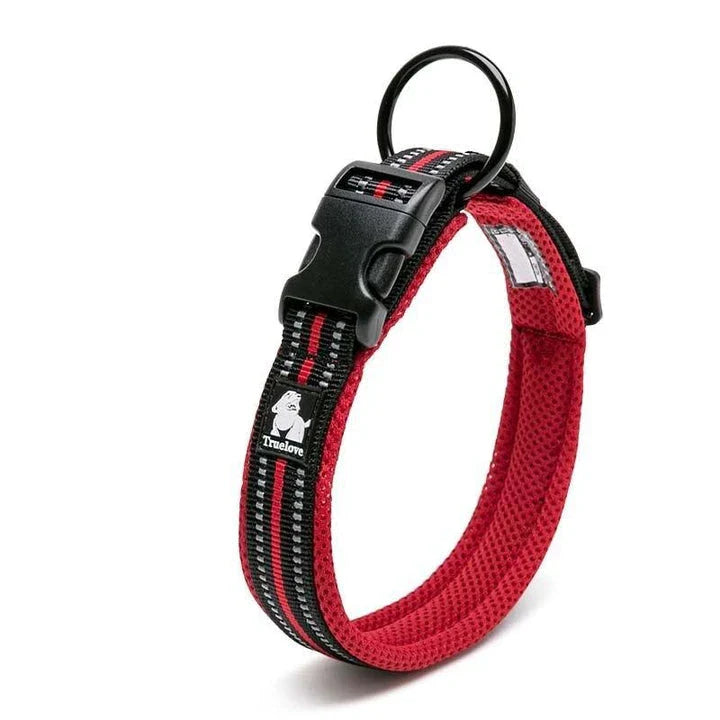 Adjustable nylon dog collar with reflective stripes, available in various vibrant colours for UK pet owners
