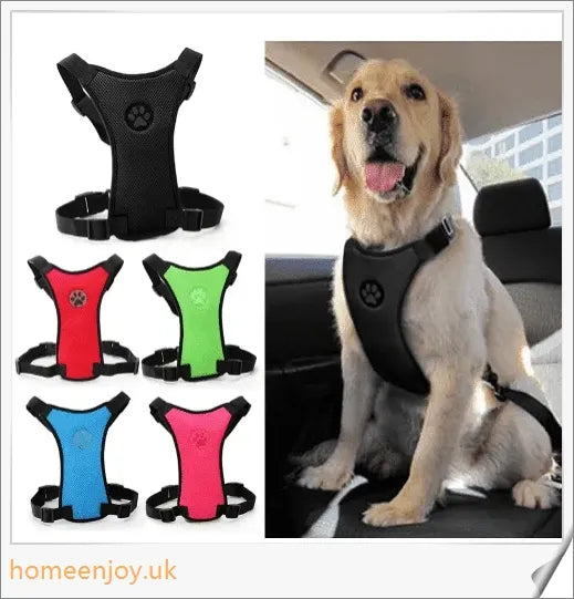 Durable dog safety harness and car seat belt set in 3 colours and 4 sizes for optimal comfort and fit