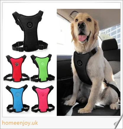 Durable dog safety harness and car seat belt set in 3 colours and 4 sizes for optimal comfort and fit