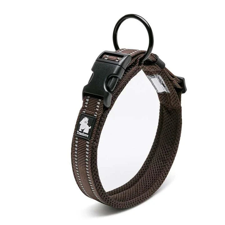 Adjustable nylon dog collar with reflective stripes, available in various vibrant colours for UK pet owners