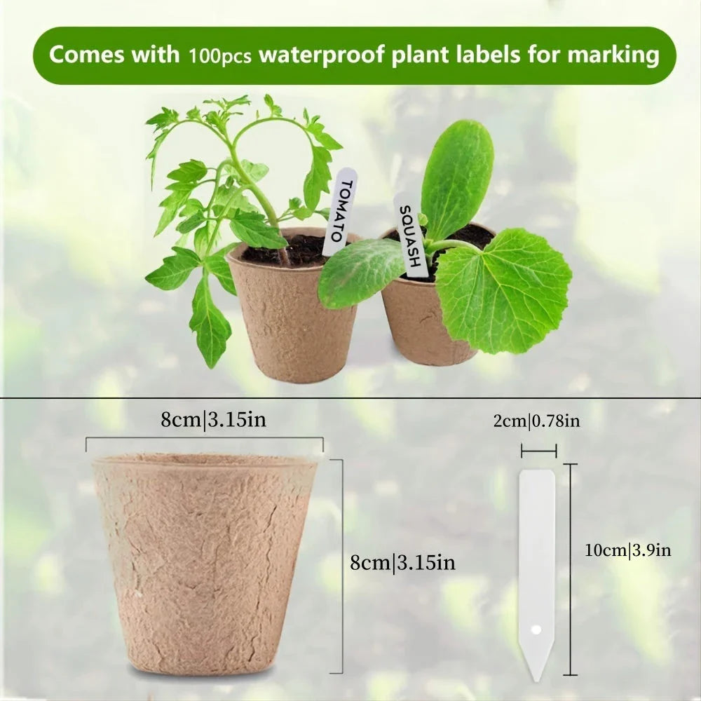 Biodegradable paper nursery pots and plant labels set for sustainable gardening