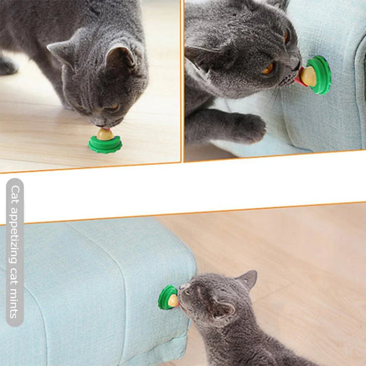 Premium cat treat with salmon flavour and natural ingredients for your feline friend's enjoyment and well-being
