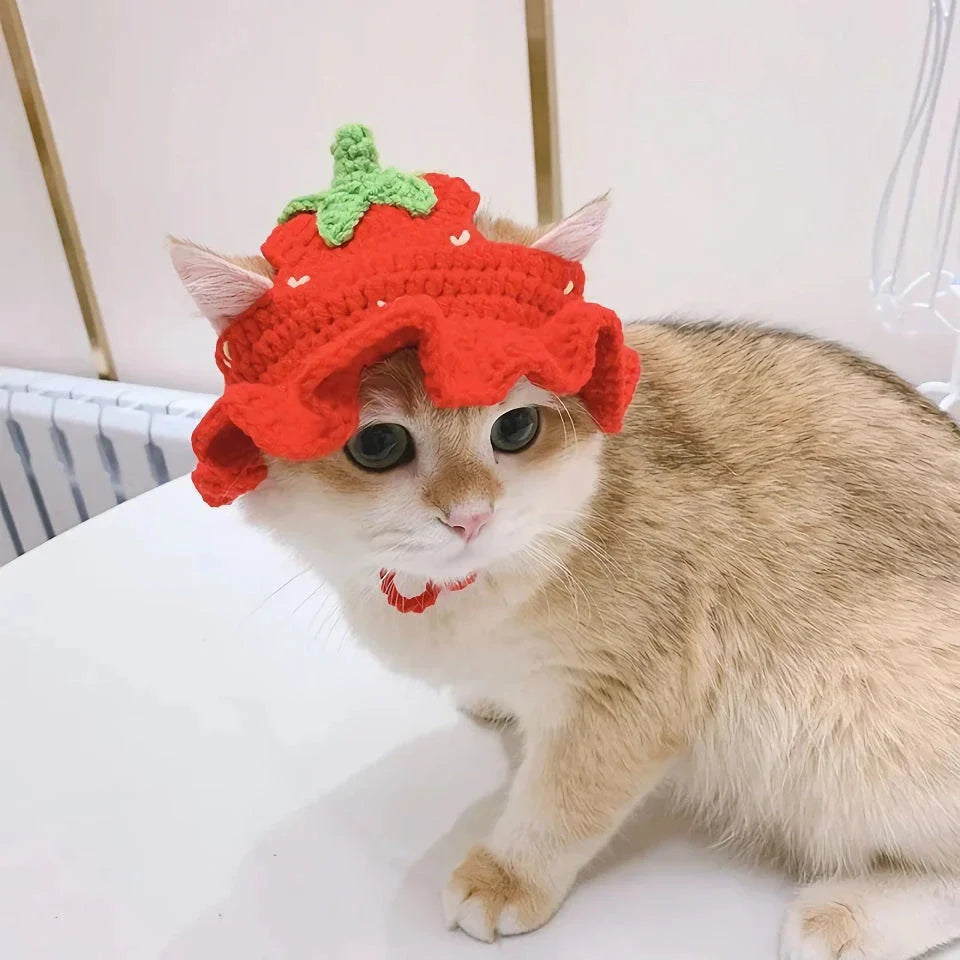Adorable knitted party hat for cats and small dogs in a frog design
