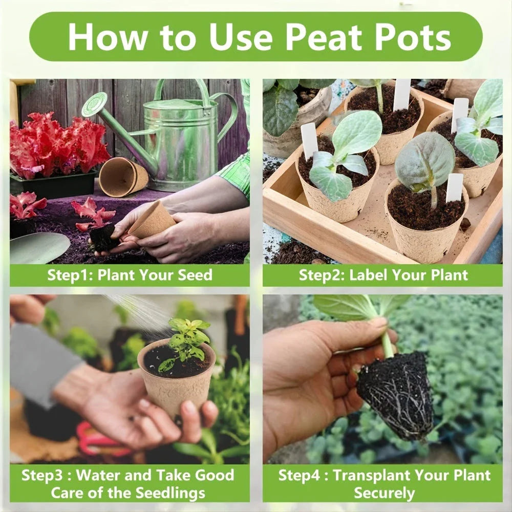 Biodegradable paper nursery pots and plant labels set for sustainable gardening