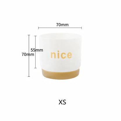 Elegant self-watering planters in various sizes, perfect for indoor plants and home or office decor