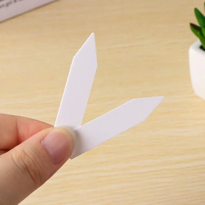 Biodegradable paper nursery pots and plant labels set for sustainable gardening