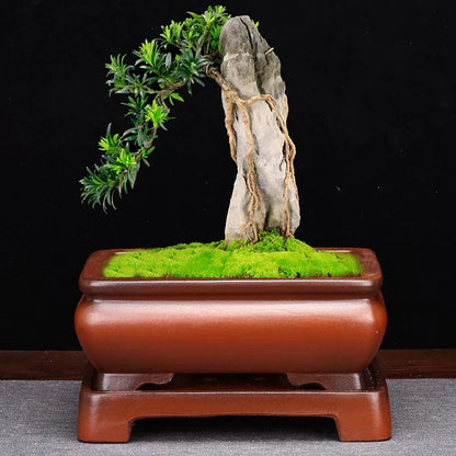 Elegant ceramic bonsai planter in red and dark green colours, with a refined antique-inspired design suitable for desktop or indoor use