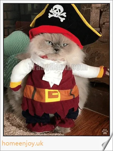 Charming pirate costume for cats and dogs made of soft, breathable polyester and non-woven fabrics