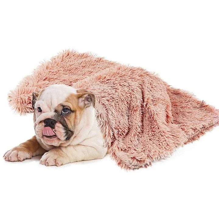 Cosy plush sleeping blanket for pets, available in small, medium, and large sizes, with a soft and luxurious design to provide ultimate comfort for your furry friend.