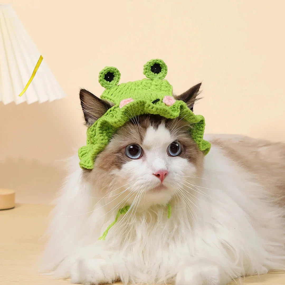 Adorable knitted party hat for cats and small dogs in a frog design