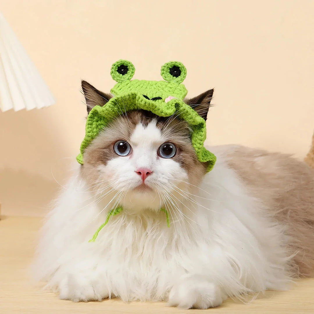 Adorable knitted party hat for cats and small dogs in a frog design