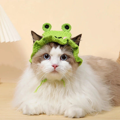 Adorable knitted party hat for cats and small dogs in a frog design