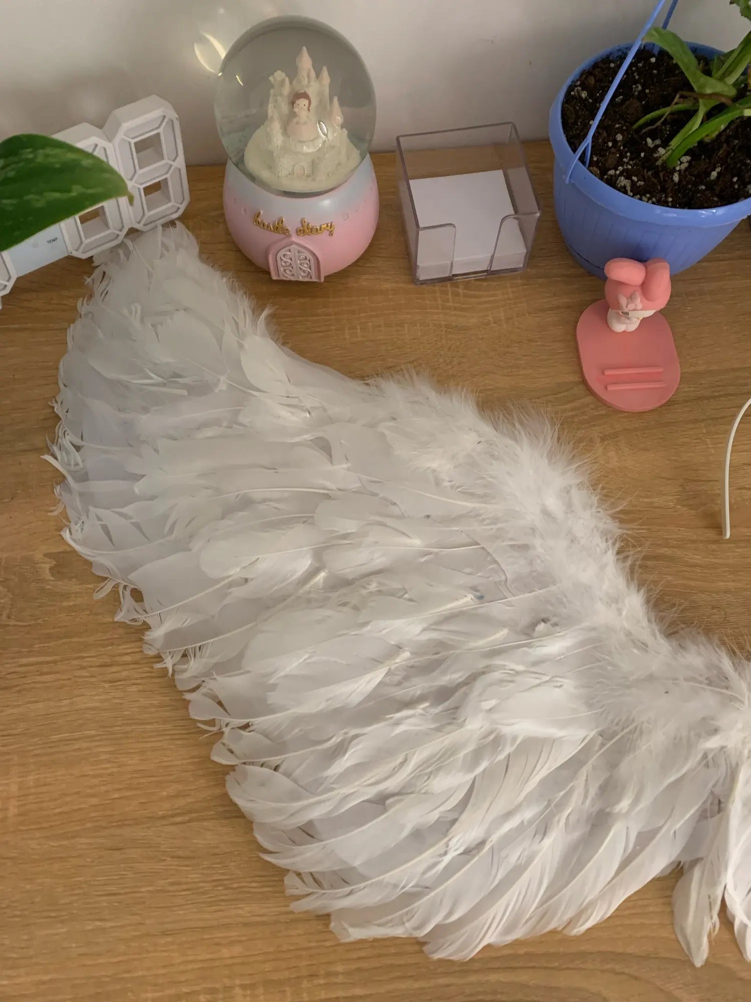 Captivating 3D Angel & Devil Wings in angelic white and devilish black colours, perfect for Halloween, masquerade, and costume parties