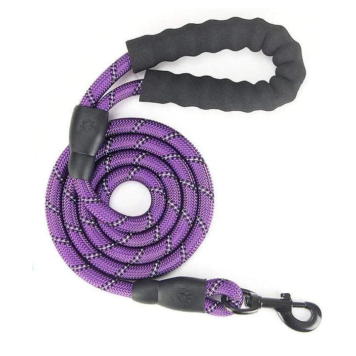 Durable and reflective nylon rope lead for dogs, available in multiple adjustable lengths for enhanced visibility and safety during walks.