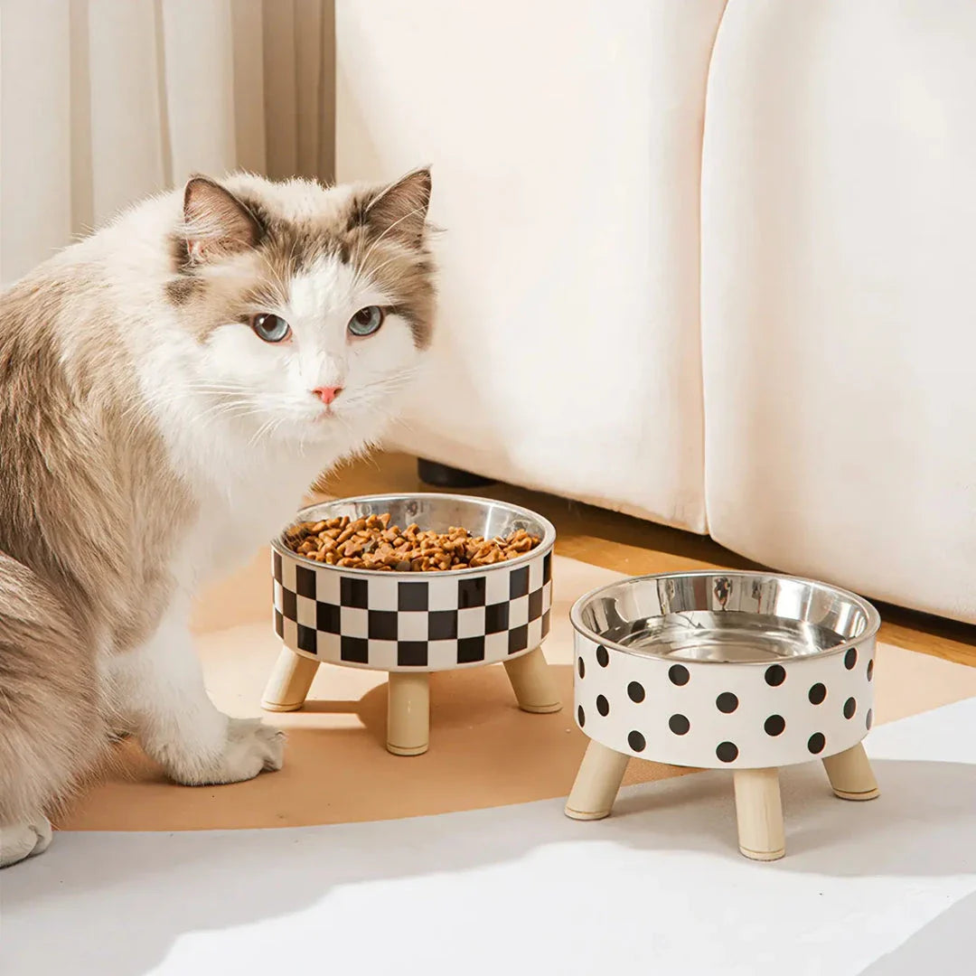 Elevated cat feeder bowl with anti-choking design, made of durable PP plastic and stainless steel for a comfortable and mess-free mealtime