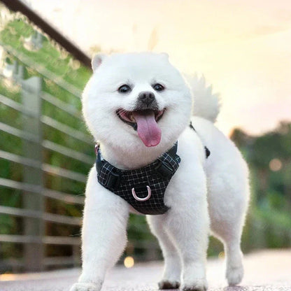 Adjustable LED pet safety harness with 19 vibrant colour modes for maximum visibility during outdoor activities