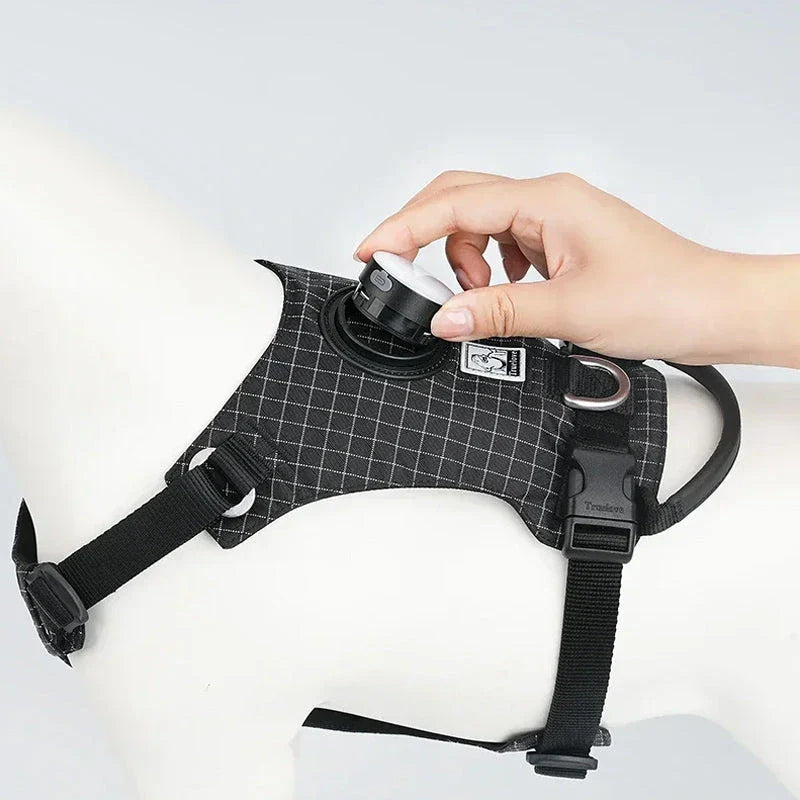 Adjustable LED pet safety harness with 19 vibrant colour modes for maximum visibility during outdoor activities