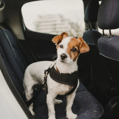 Adjustable Dog Car Seatbelt with Leash and Headrest Attachment for Secure Pet Transport