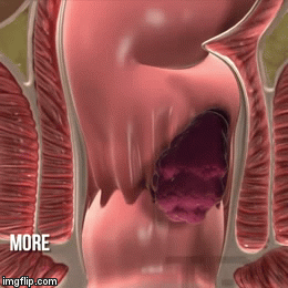 Hands-free car backseat mount for smartphones and tablets, with 360-degree rotation and shockproof protection