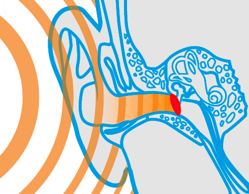 Double-Sided Adhesive Hooks - Versatile, Reusable, and No Drilling Required