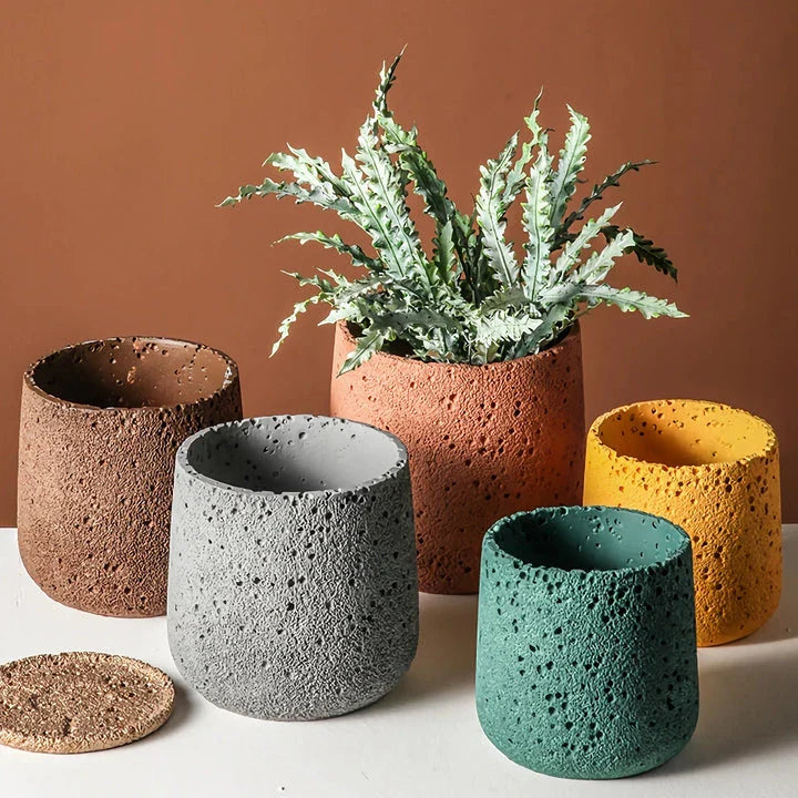 Nordic-style perforated cement bonsai planter in various sizes and colours, showcasing modern Scandinavian design for indoor gardening and home decor.