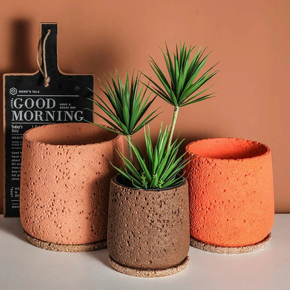 Nordic-style perforated cement bonsai planter in various sizes and colours, showcasing modern Scandinavian design for indoor gardening and home decor.