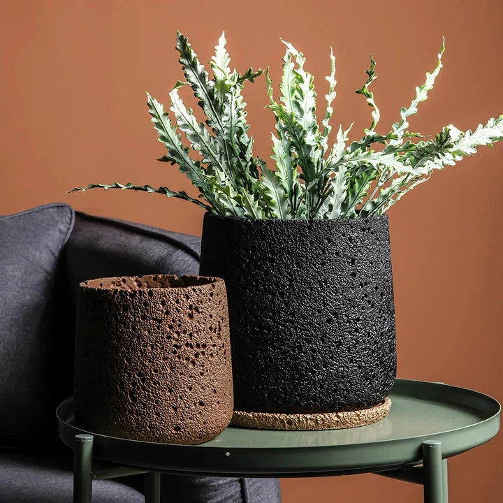 Nordic-style perforated cement bonsai planter in various sizes and colours, showcasing modern Scandinavian design for indoor gardening and home decor.