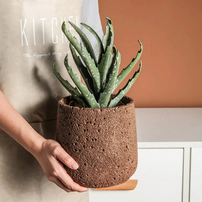 Nordic-style perforated cement bonsai planter in various sizes and colours, showcasing modern Scandinavian design for indoor gardening and home decor.