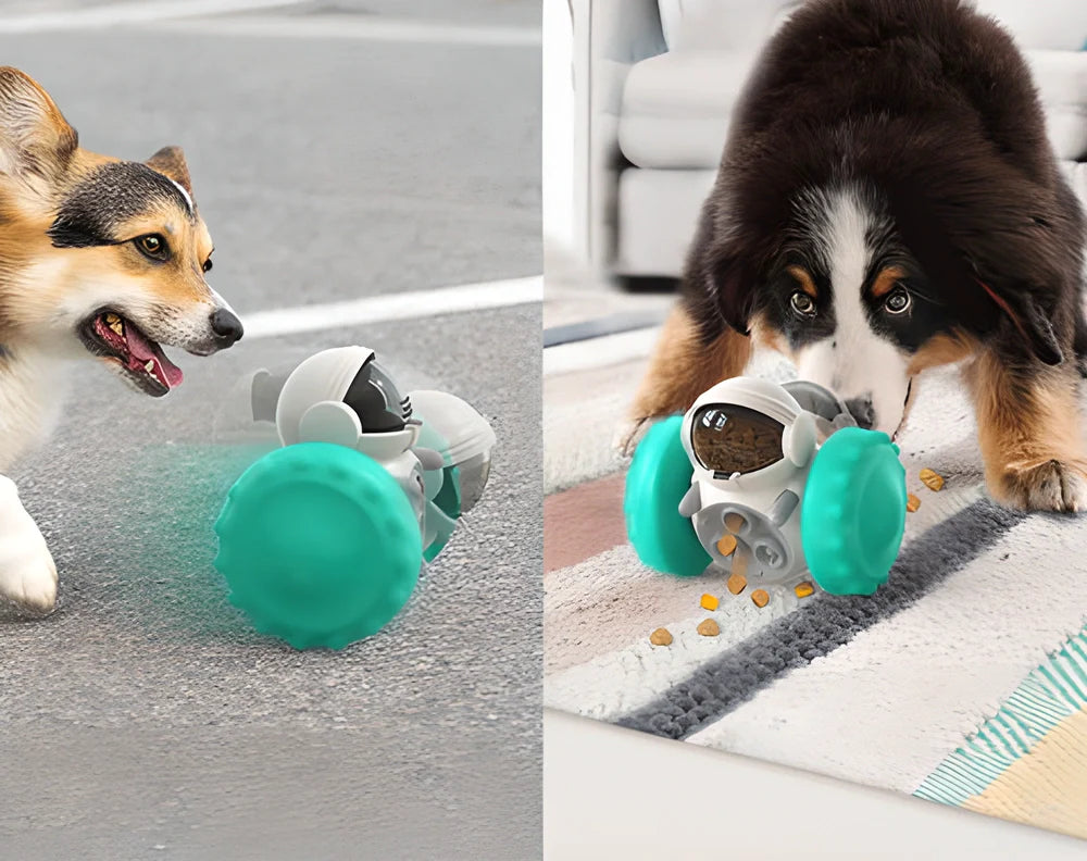 Brain-Boosting Interactive Pet Treat Dispenser Toy in Lake Blue Colour